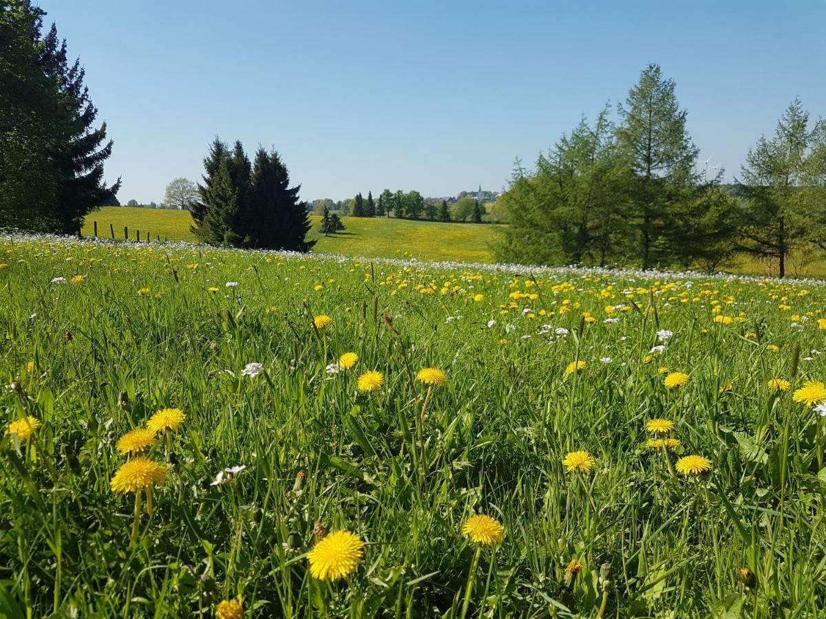 Appartement Schnorrenberg, Wellness & Nature *