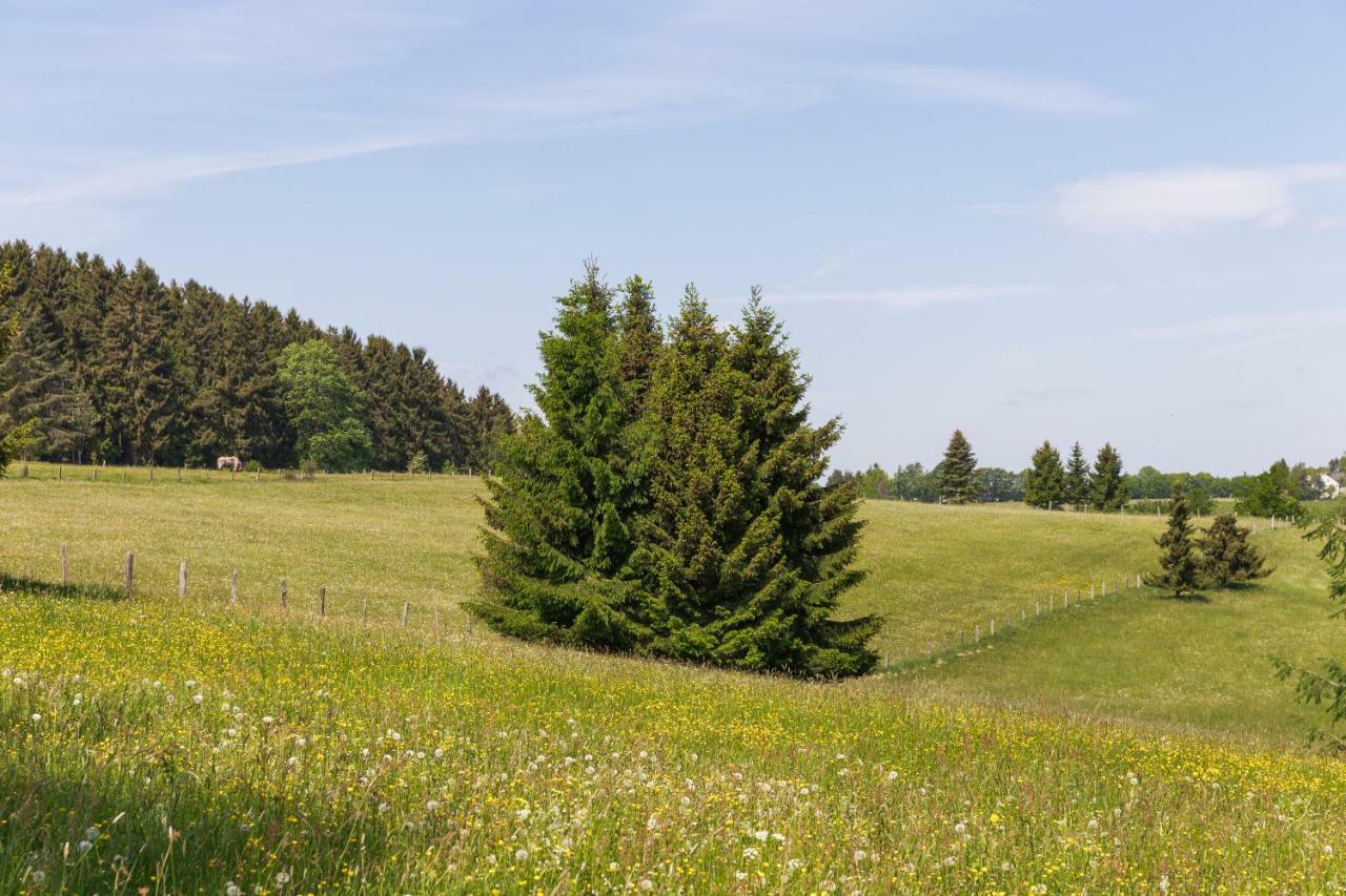 Schnorrenberg, Wellness & Nature Apartment *
