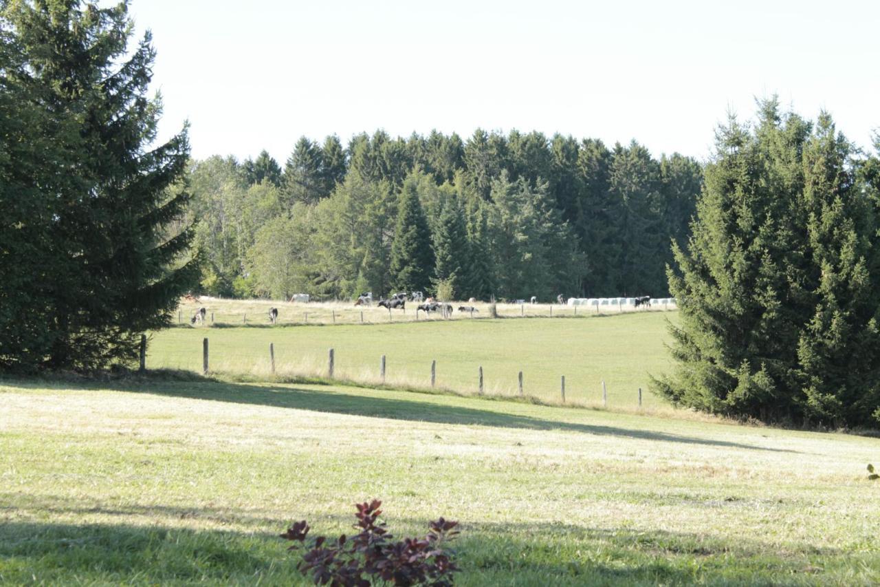 Schnorrenberg, Wellness & Nature Apartment *